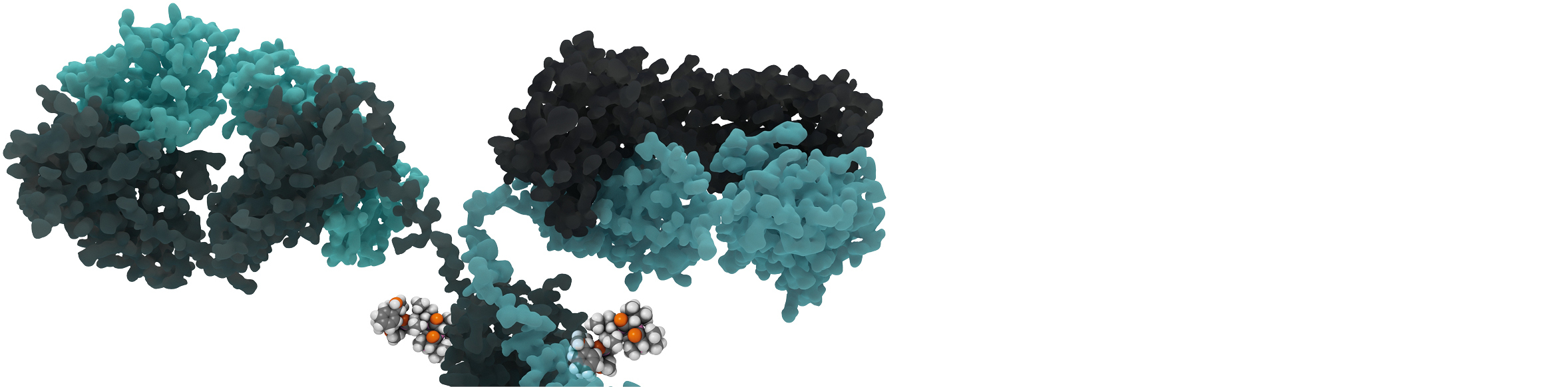 Qualty Assistance ADCs ADC Antibody-Drug Conjugates