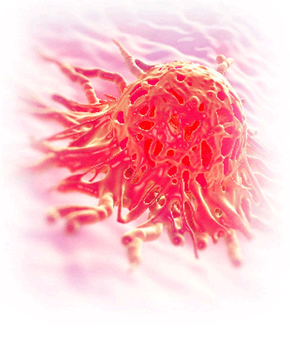 Quality Assistance Cytokine Release