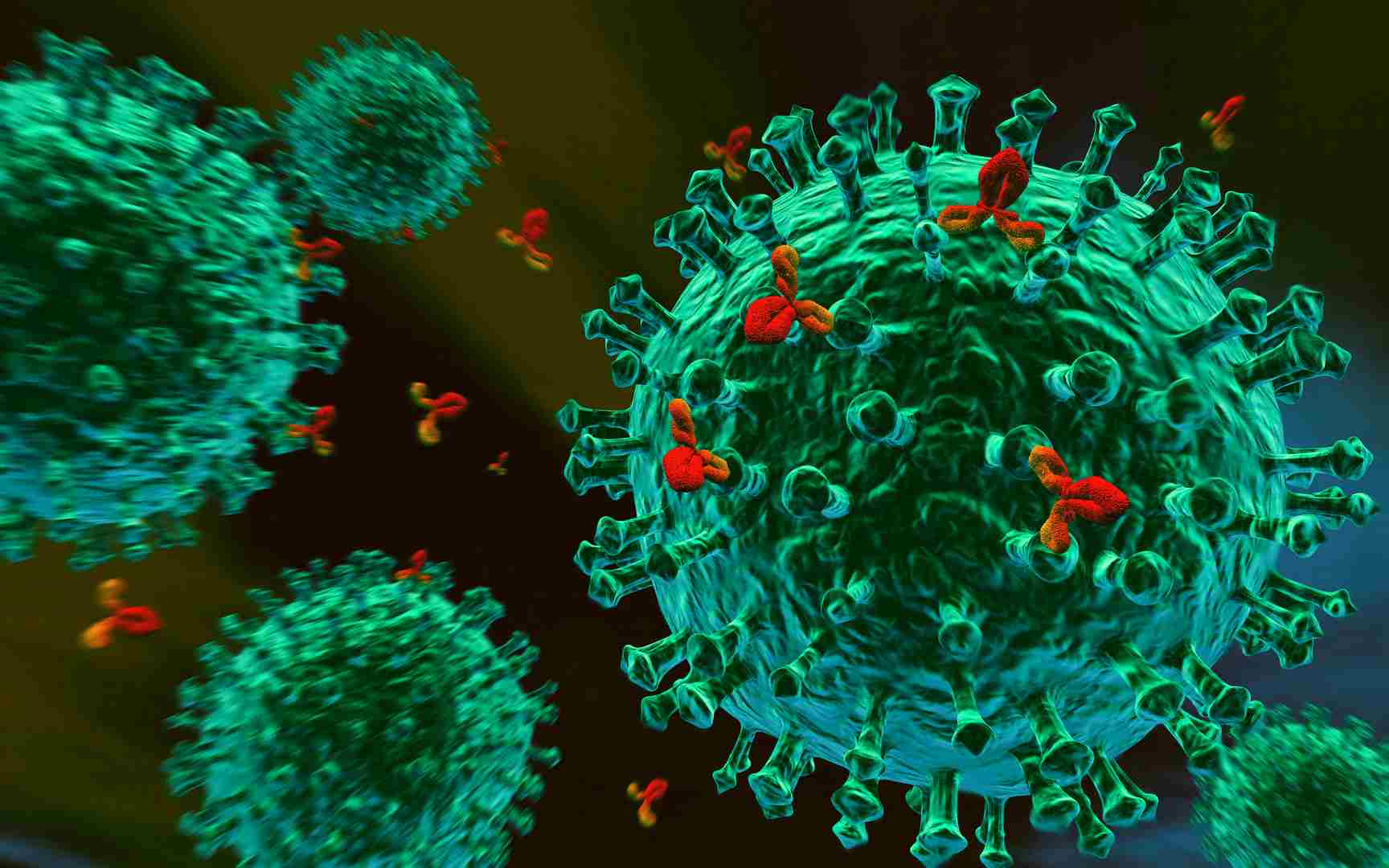 Quality Assistance Immunoassays