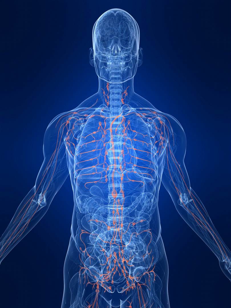 Quality Assistance Immunogenicity