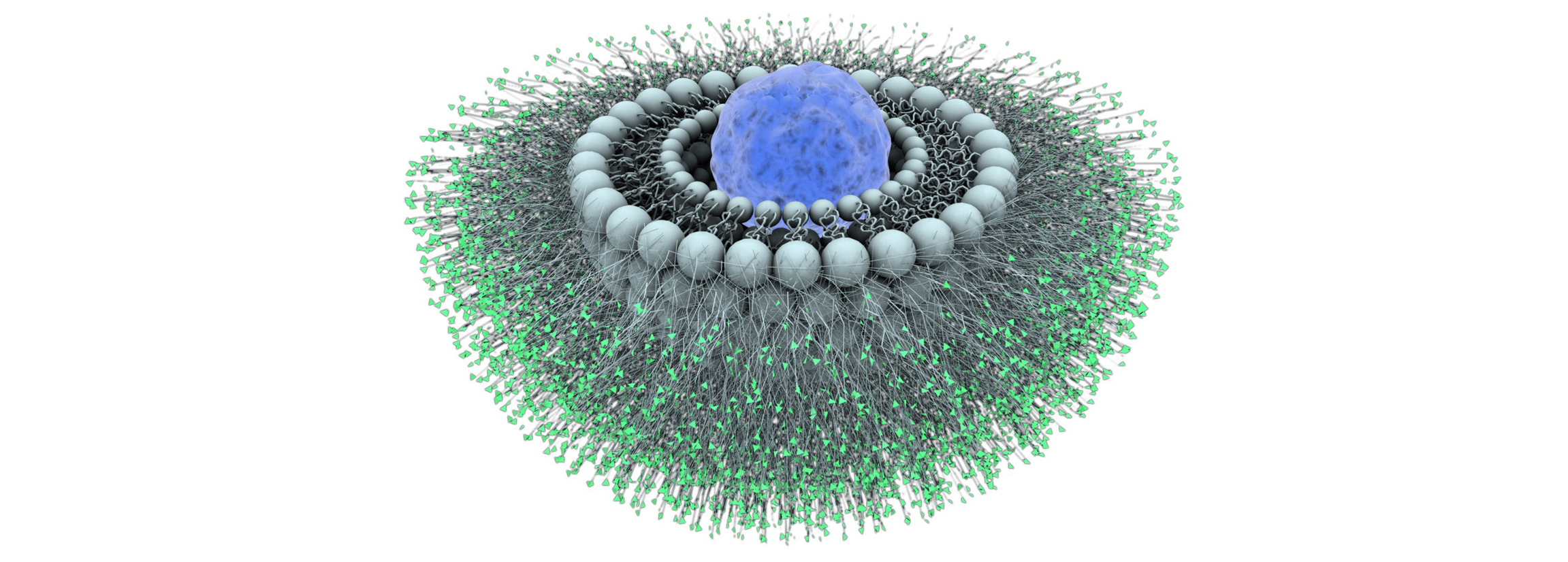 Quality Assistance Nanomedicine