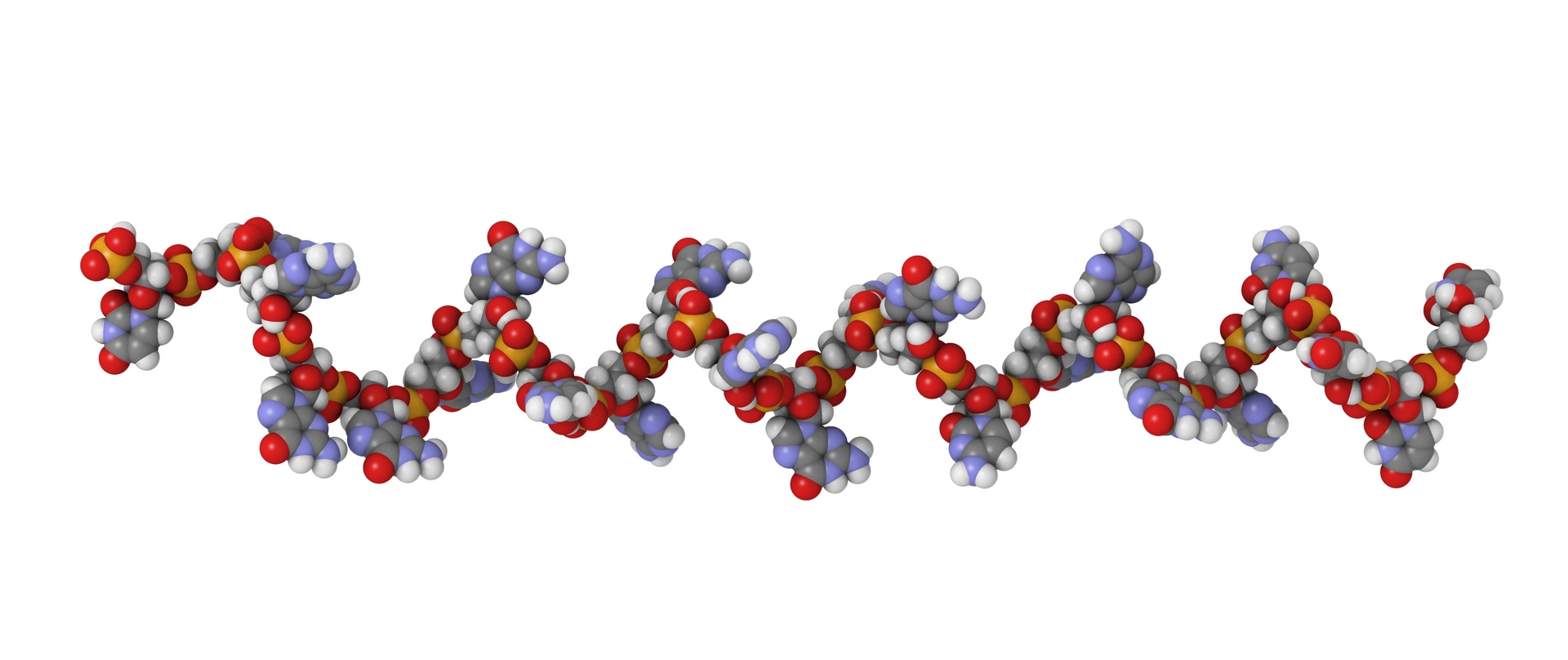 Quality Assistance Oligonucleotides