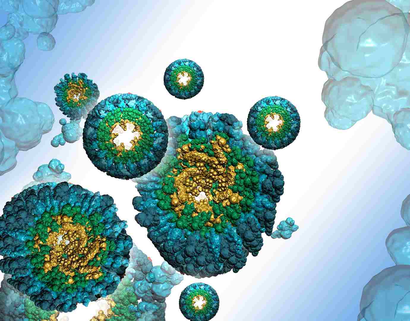 Quality Assistance Protein aggregation
