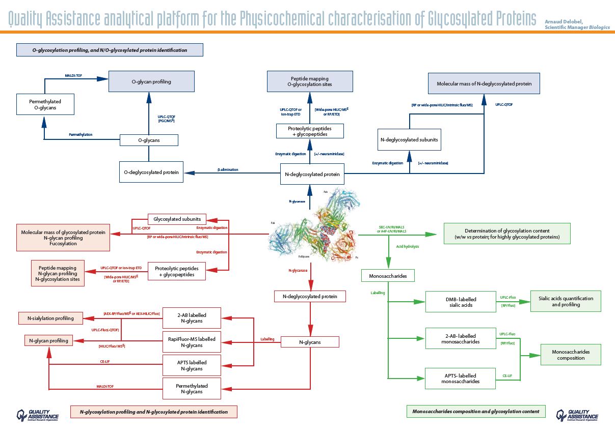 Mass spectrometry toolkit for the characterisation of protein glycosylation