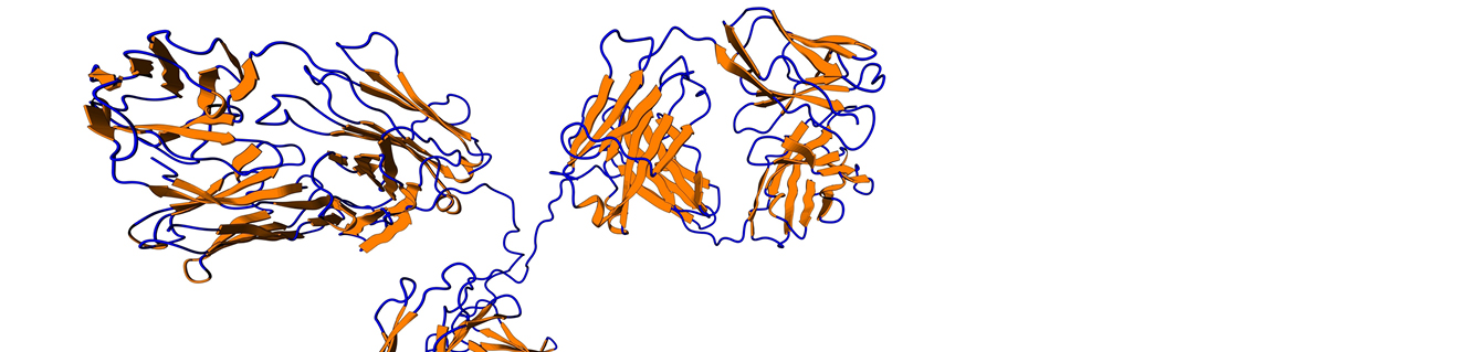 Quality Assistance mAbs Monoclonal antibodies