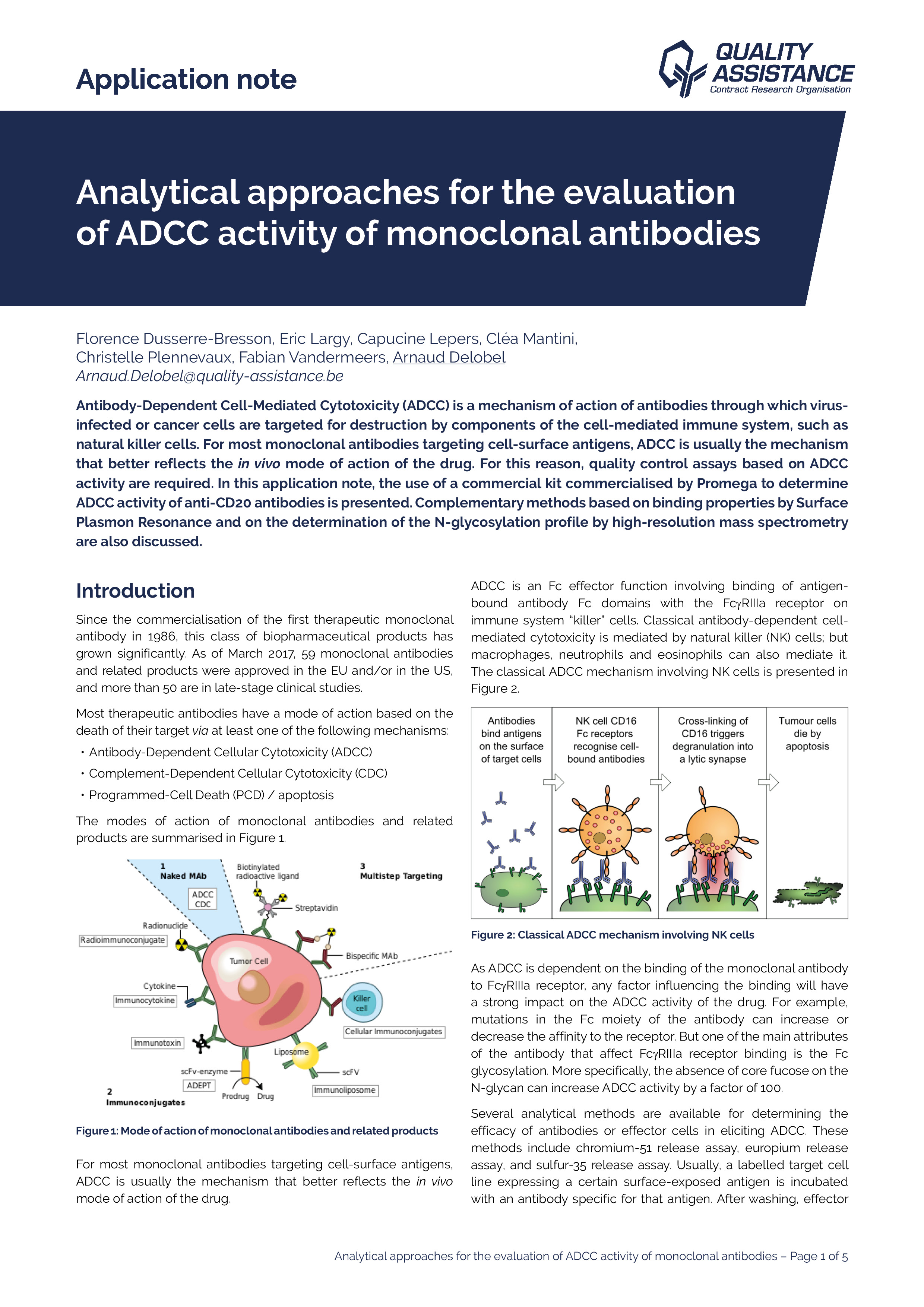 Quality Assistance Analytical approaches for the evaluation of ADCC activity of mAbs