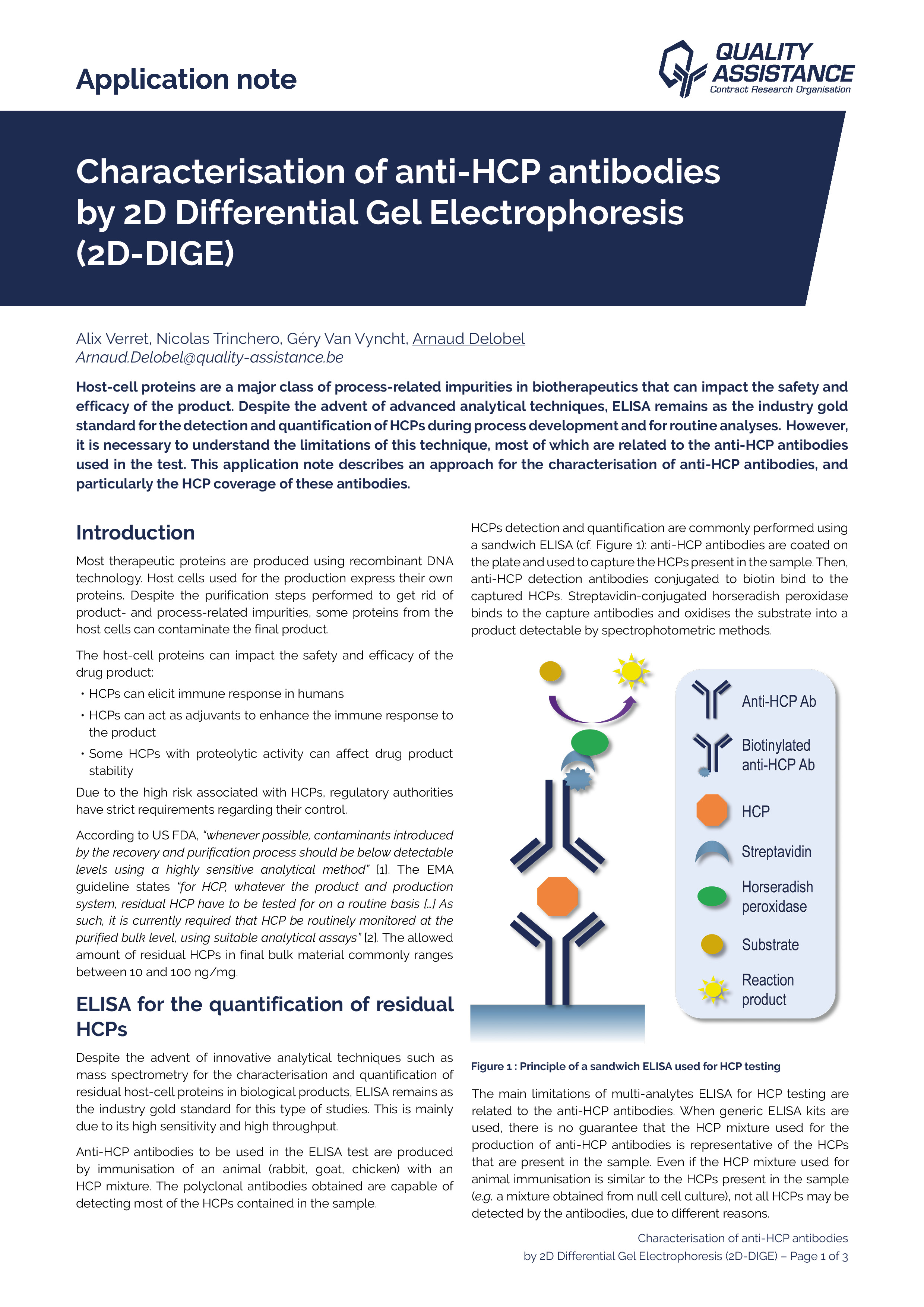 Characterisation of Anti-HCP antibodies by 2D differential Gel Electrophoreses