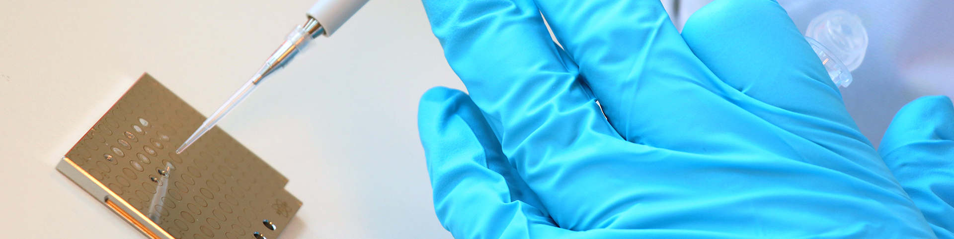 Quality Assistance pegylated proteins