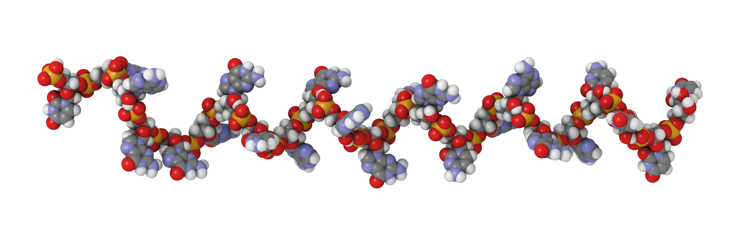 Quality Assistance JPBA Elsevier Oligonucleotides