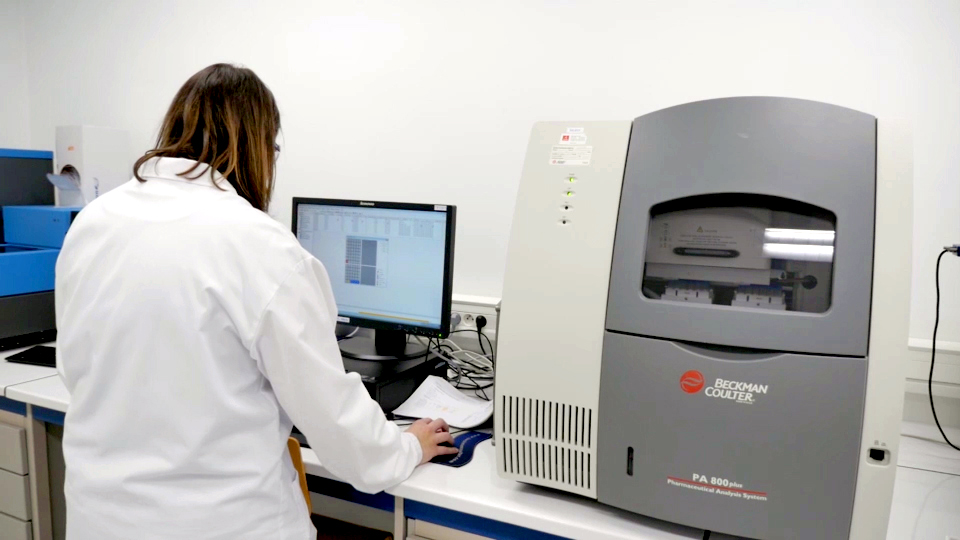 Quality Assistance capillary electrophoresis