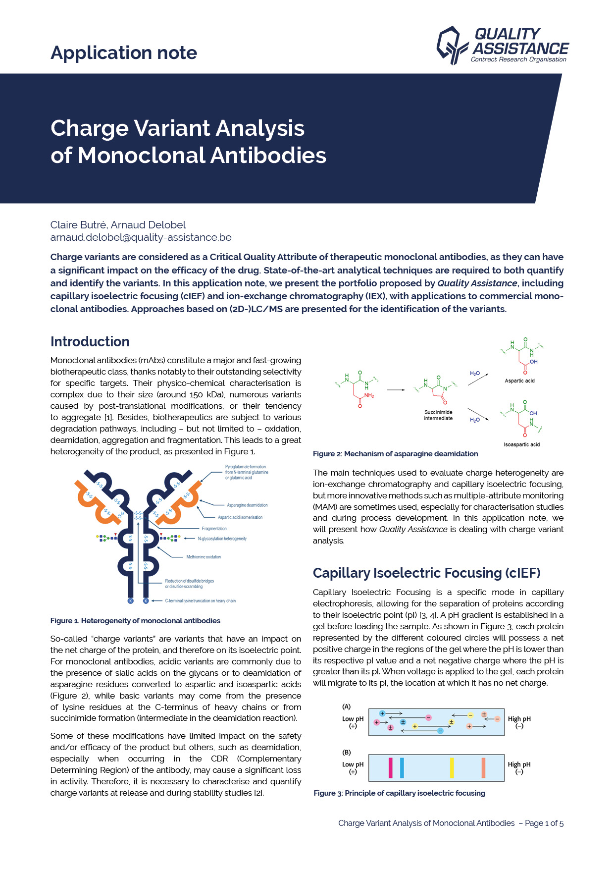 Charge variants analysis of monoclonal antibodies