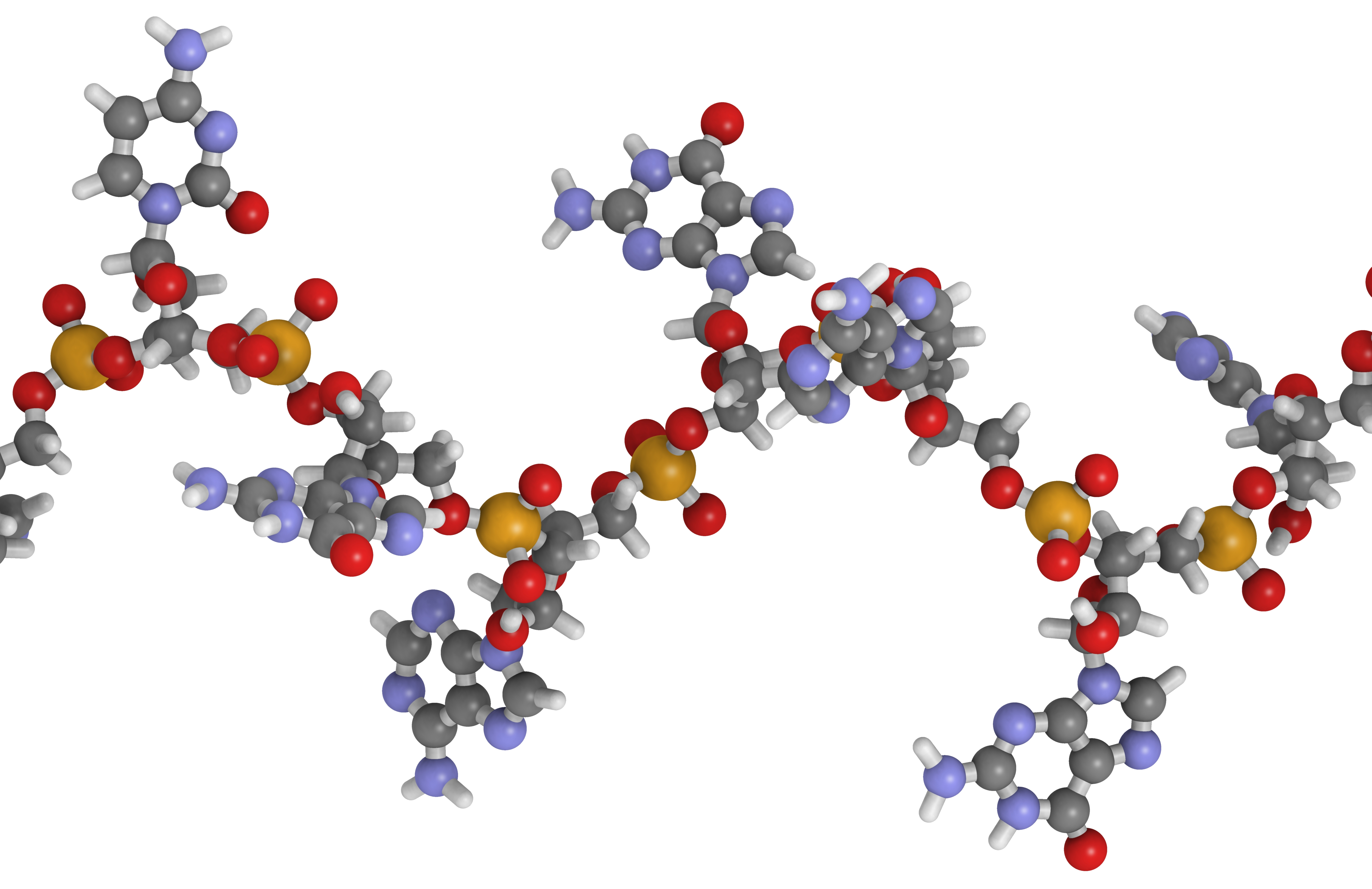 Oligonucleotide Therapeutics Society Annual Meeting