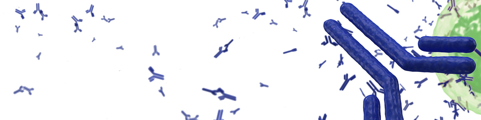 Quality-Assistance-scientific-library-antibodies