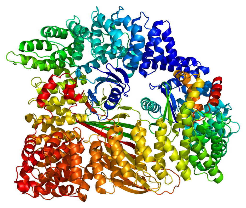 Quality-Assistance-proteins