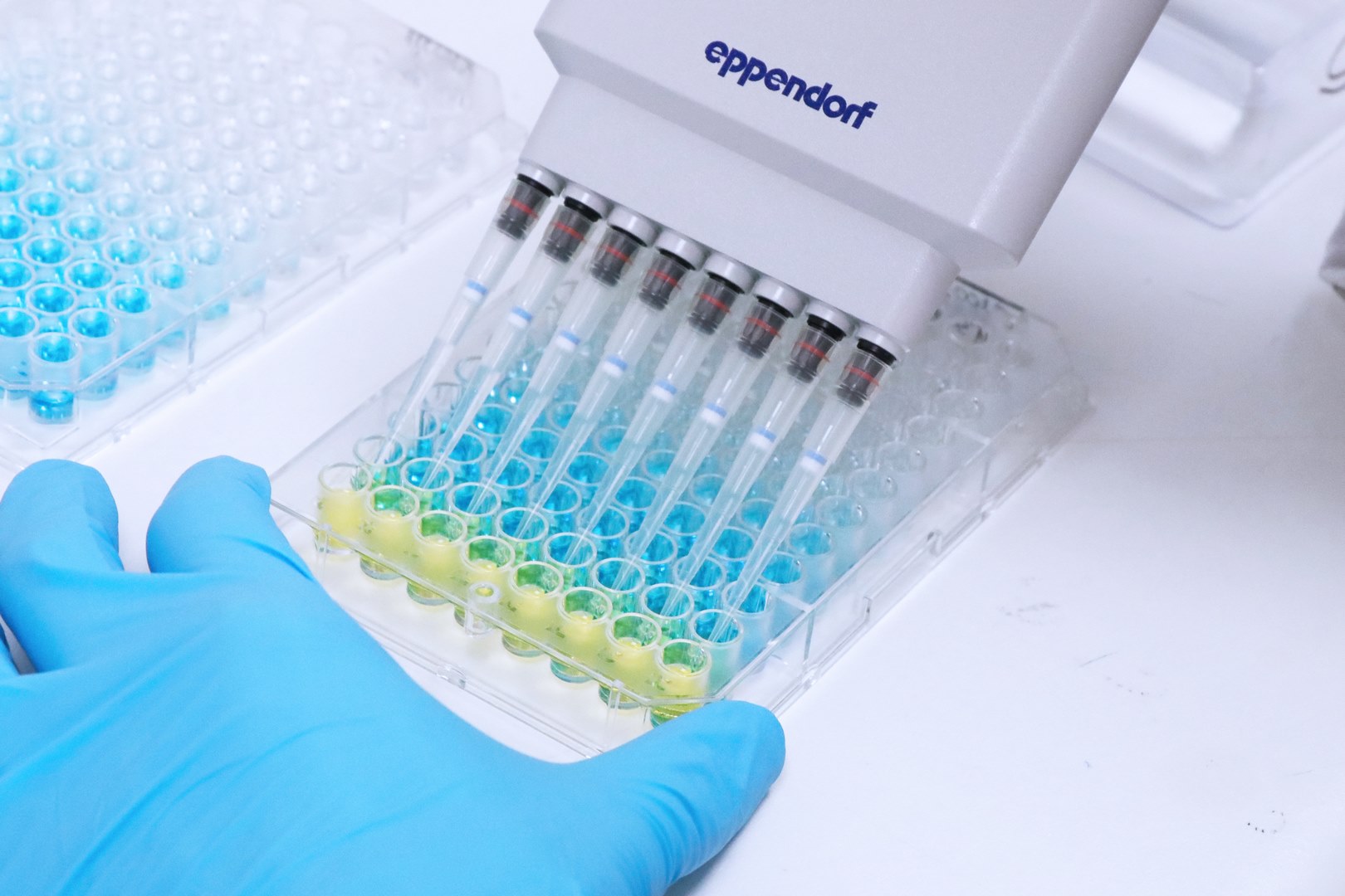 Quality Assistance Biologie ELISA
