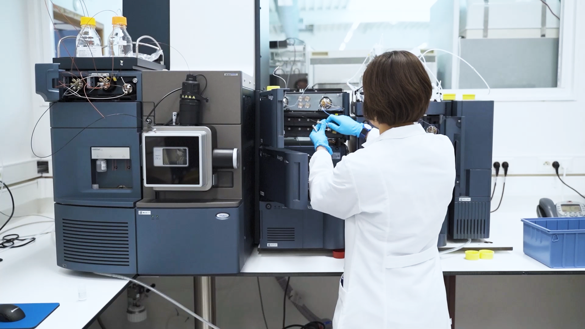 Characterisation of proteins by MS