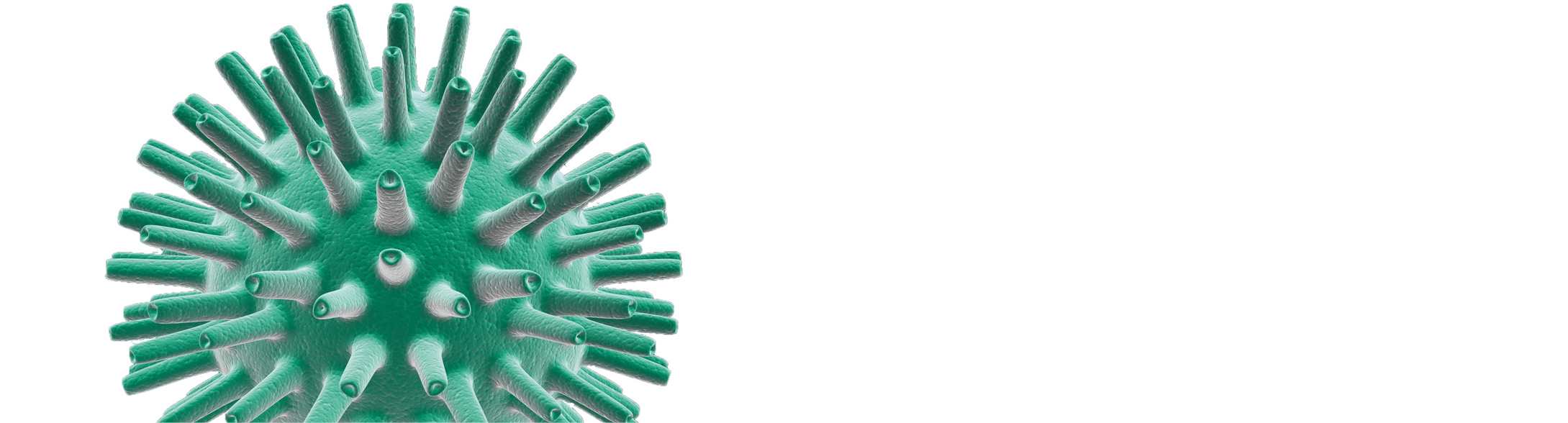 Quality-Assistance-Vaccines