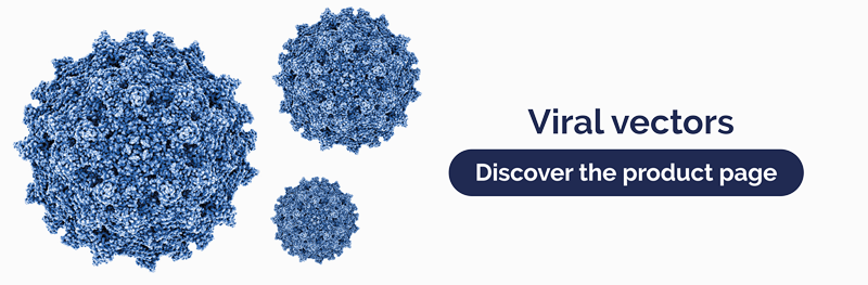 Viral Vectors