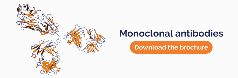 Monoclonal antibodies