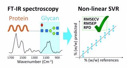 Glycosylation FT-IR