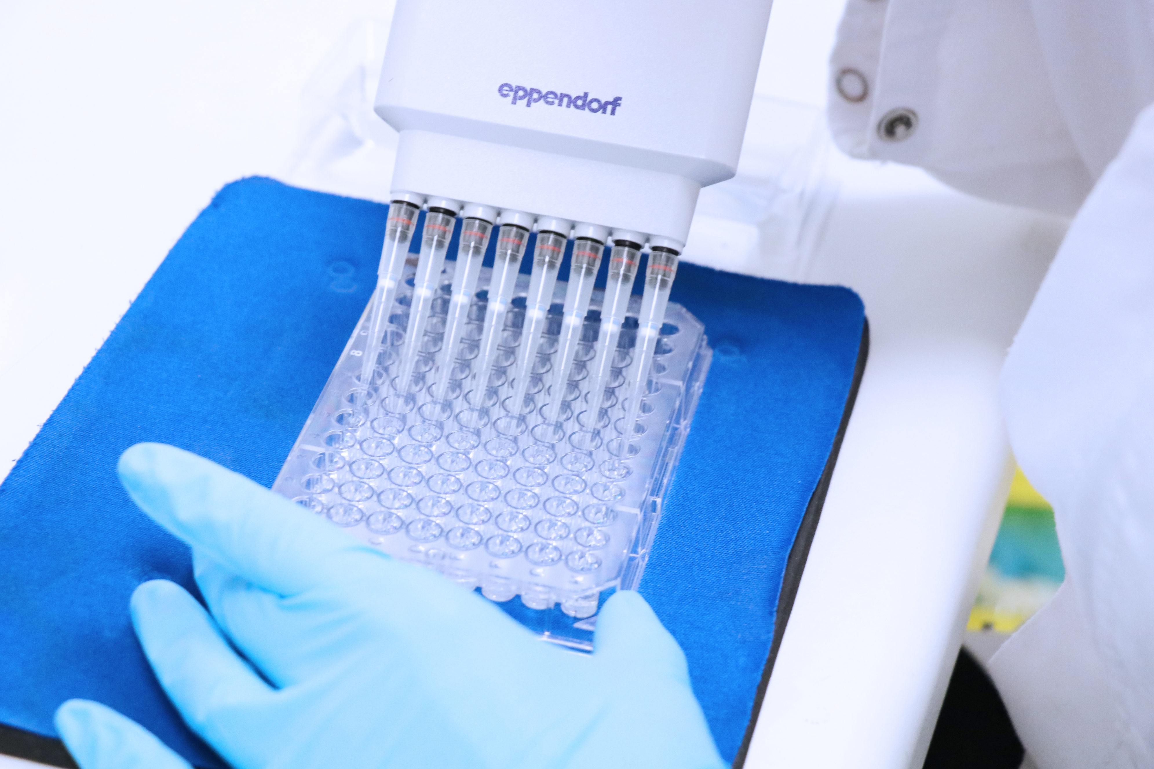 ANALYSTE DE LABORATOIRE - Cell-based assays