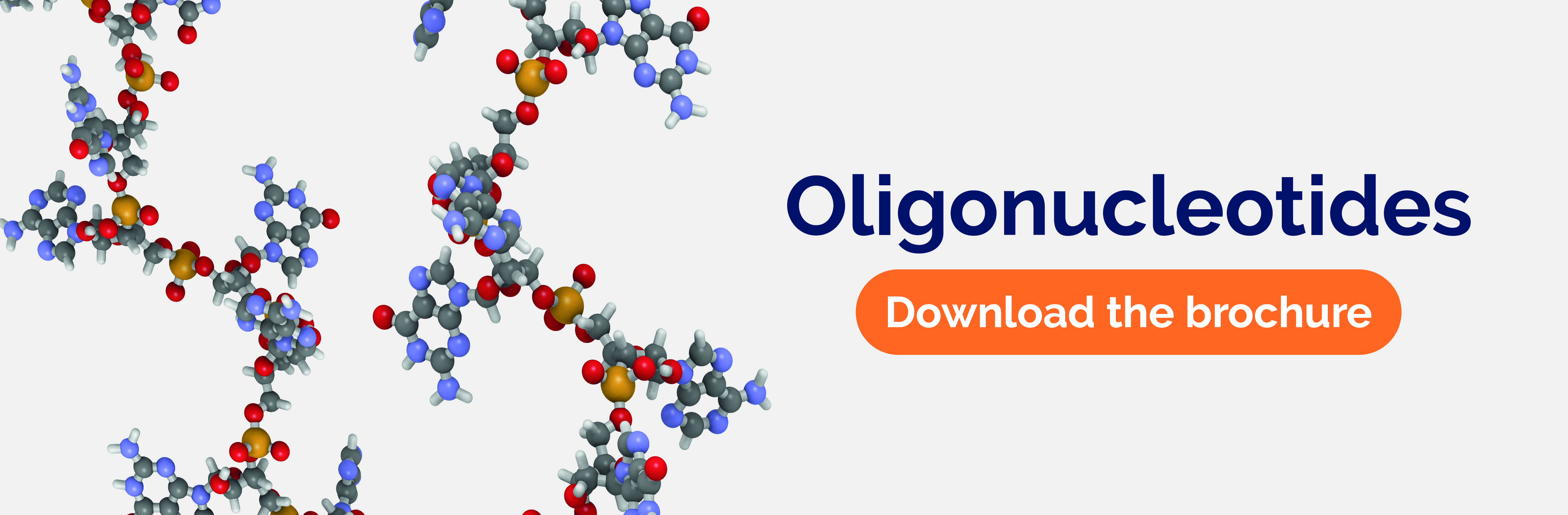 Oligonucleotides