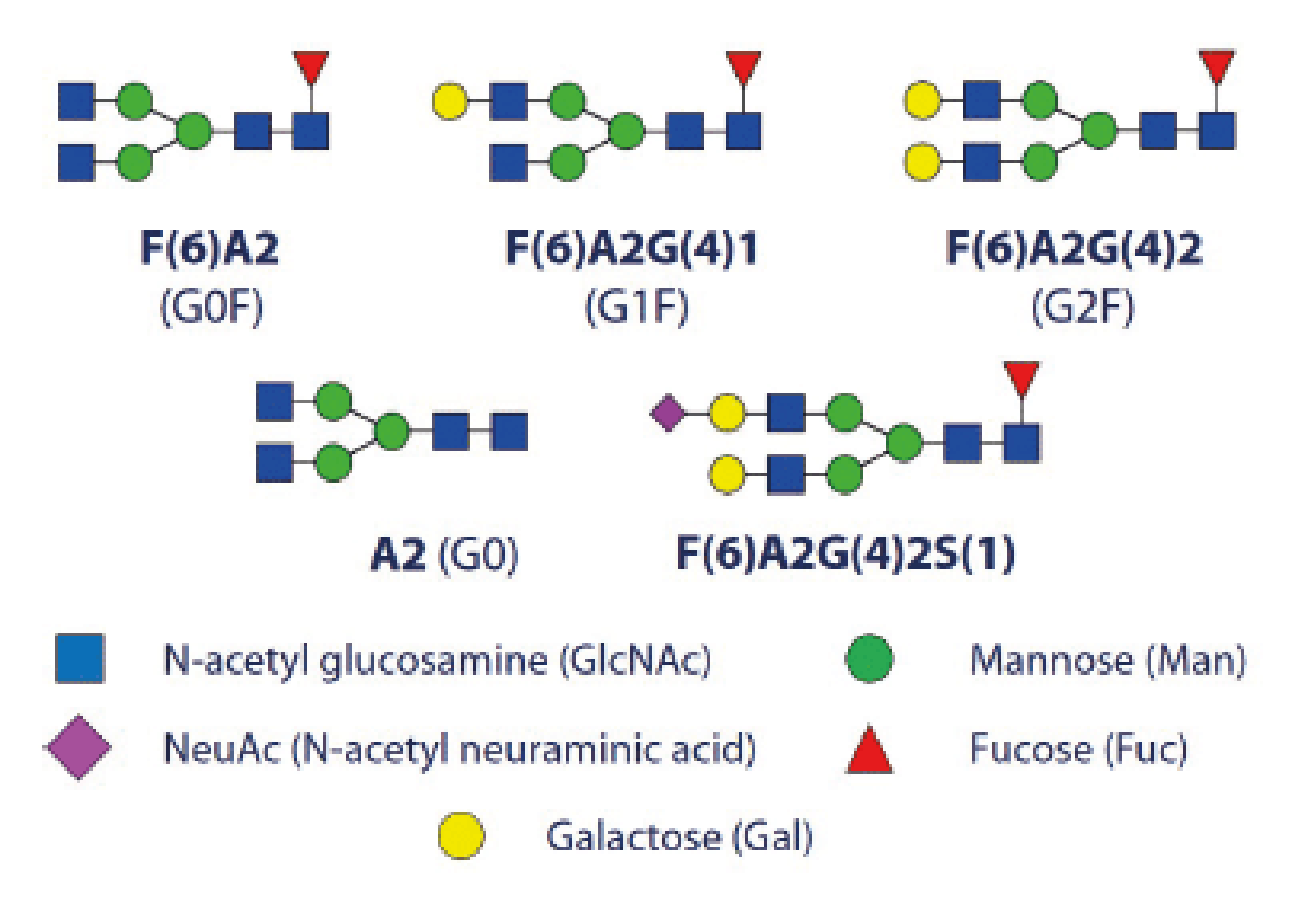 Figure5