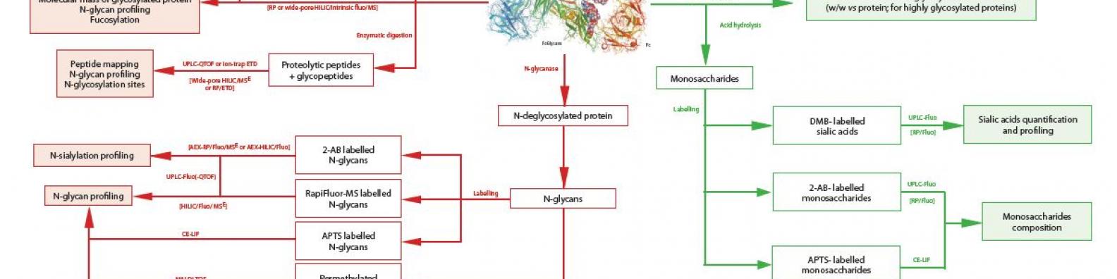 Mass Spectrometry Toolkit For The Characterisation Of Protein Glycosylation Quality Assistance