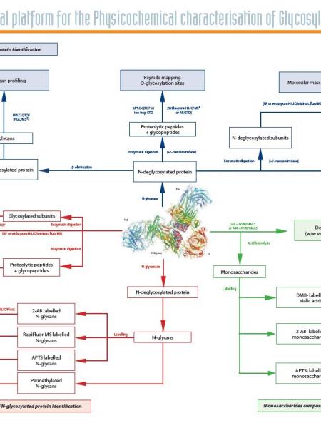 Mass spectrometry toolkit for the characterisation of protein glycosylation