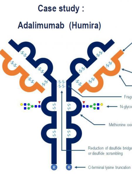 Quality Assistance Biacore Webinar mAbs monoclonal antibodies 