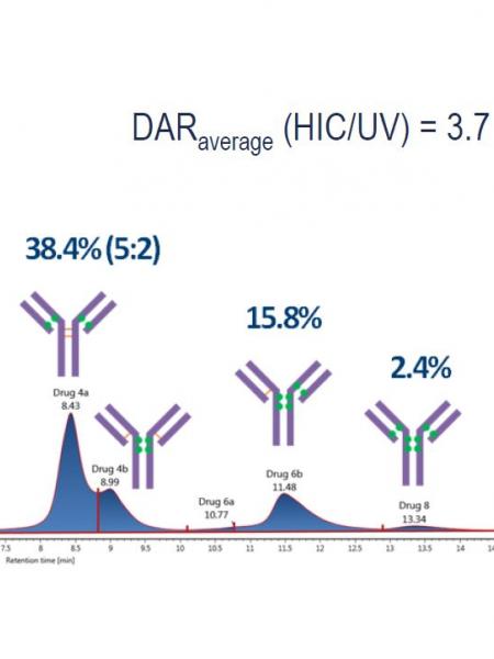 Quality Assistance MS ADCs characterisation mass spectrometry